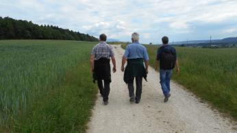 Betrachtungen und Ökologischer Ausgleich