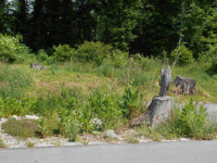 Vielfältige Lebensräume in Gärten