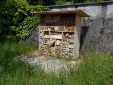 Extensive Wiese, Wildbienenhaus, begrünte Mauer, Schulhaus Bärlet.