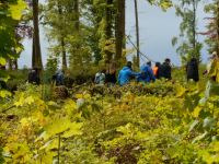 Wald und Klimawandel